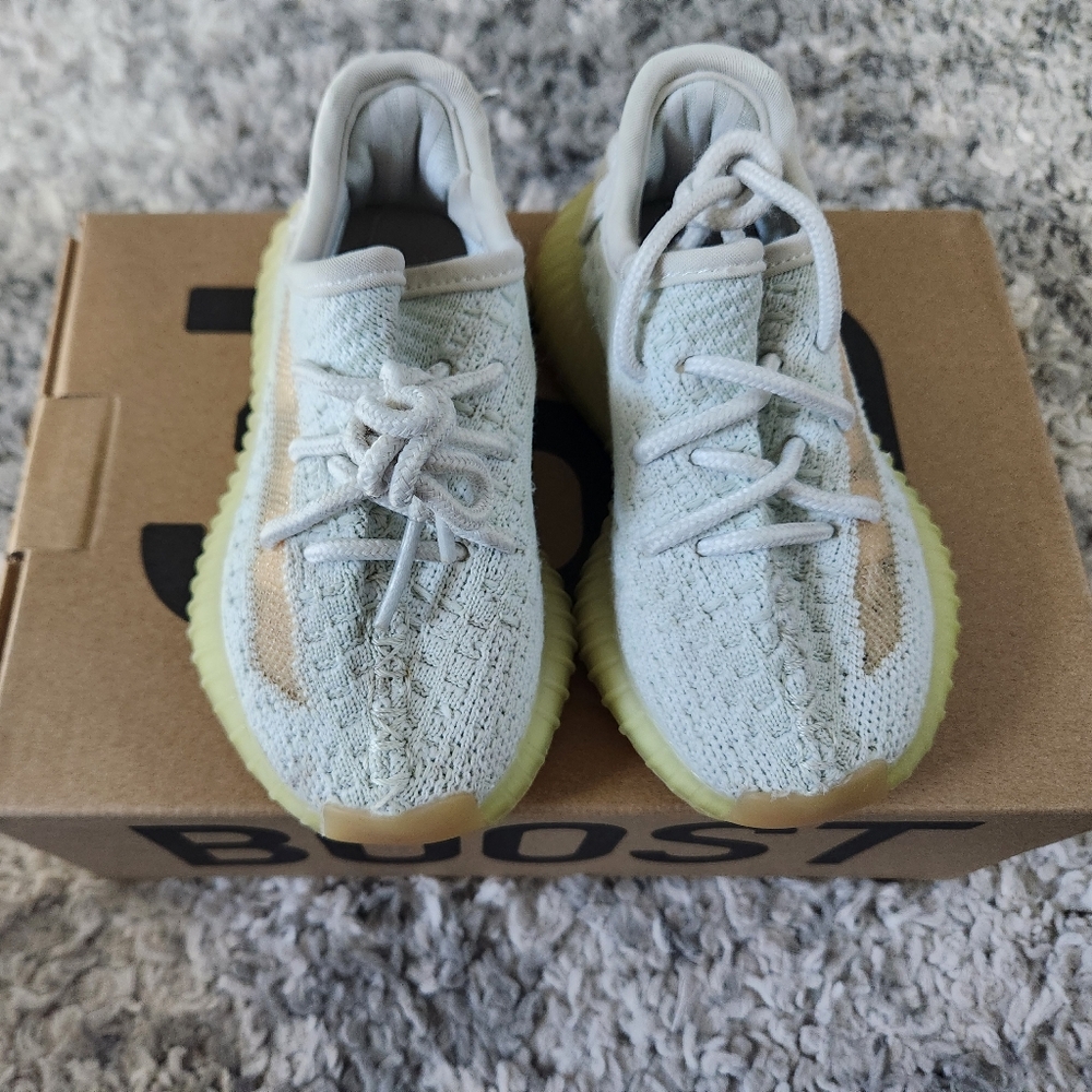 Adidas Yeezy Boost 350 V2 Ice Blue and Cream Shoes